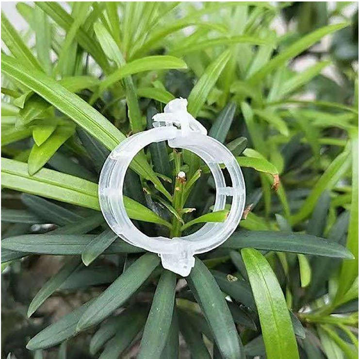 園芸用クリップ 誘引クリップ 100個入り | PlusNao | 詳細画像7 