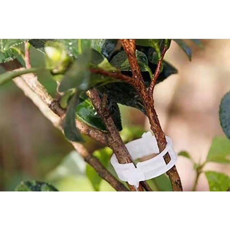 園芸用クリップ 誘引クリップ 100個入り | PlusNao | 詳細画像8 