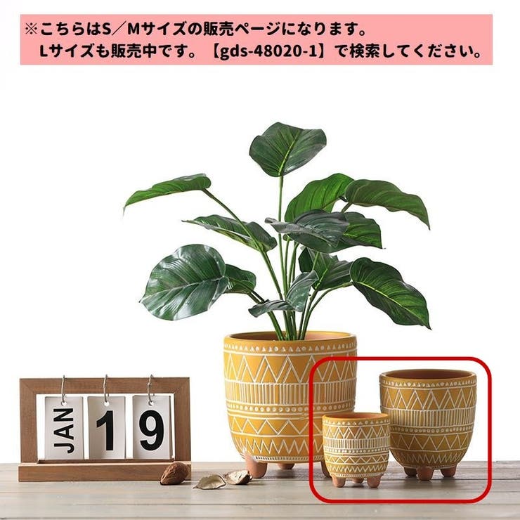 植木鉢 鉢植え プランター | PlusNao | 詳細画像2 