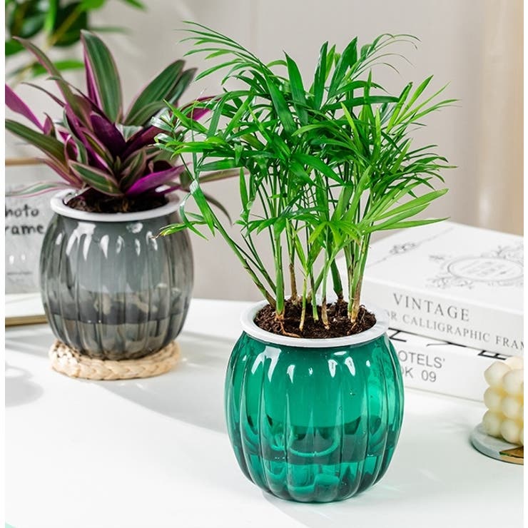 植木鉢 2個セット 自動給水式 | PlusNao | 詳細画像2 