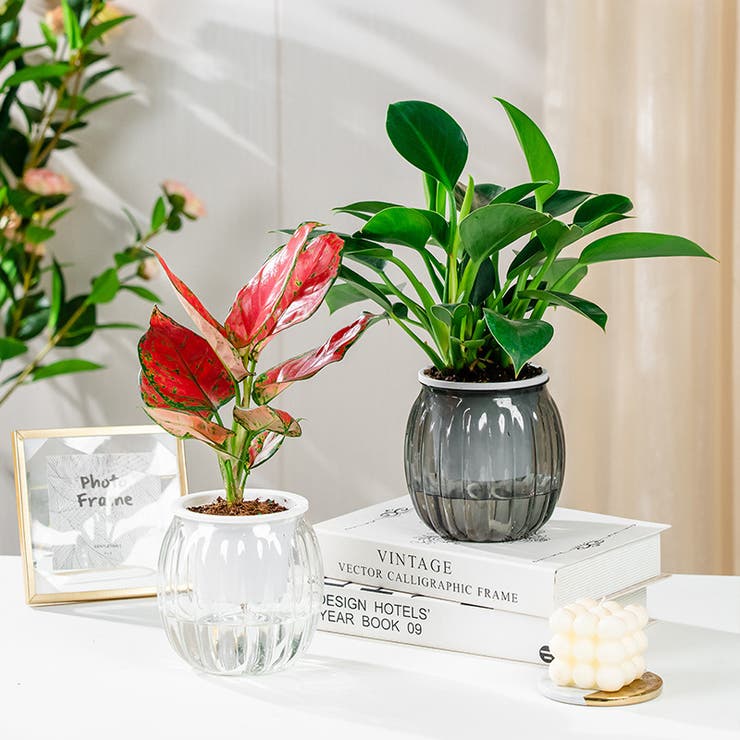 植木鉢 2個セット 自動給水式 | PlusNao | 詳細画像5 