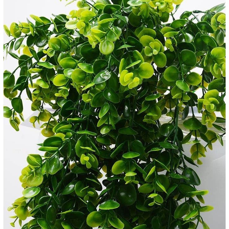 フェイクグリーン 人工観葉植物 吊り下げ | PlusNao | 詳細画像4 