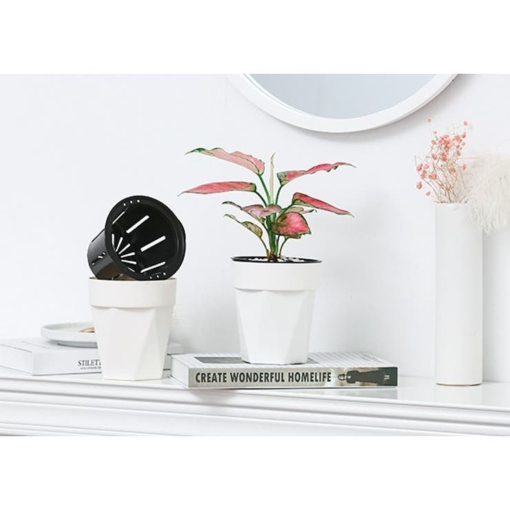 植木鉢 フラワーポット 水耕栽培[品番：FQ000230291]｜PlusNao