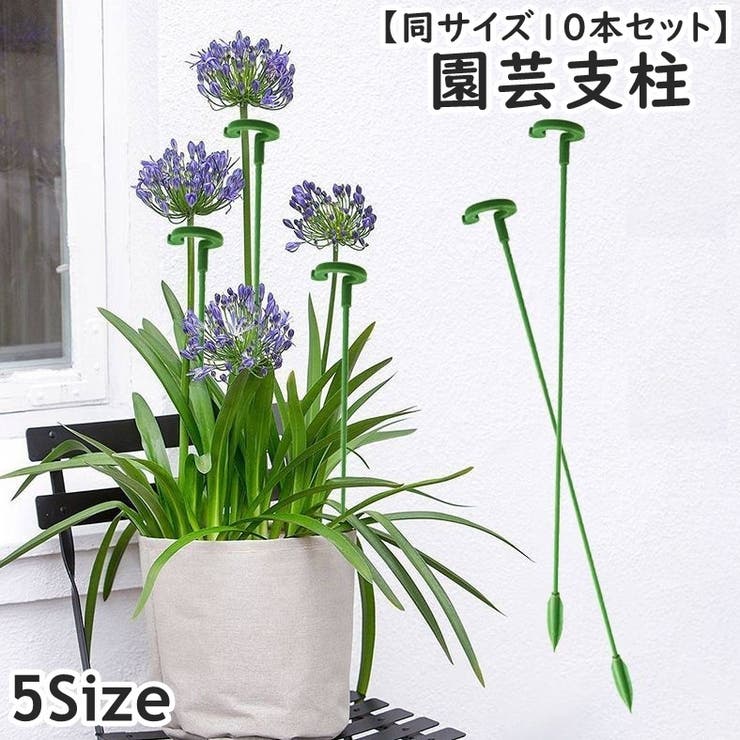 園芸支柱 同サイズ10本セット 17cm[品番：FQ000246189]｜PlusNao