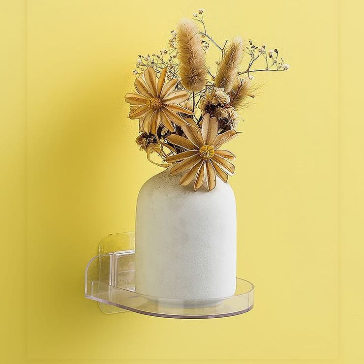 ウォールシェルフ 防犯カメラ ペット用カメラ | PlusNao | 詳細画像2 