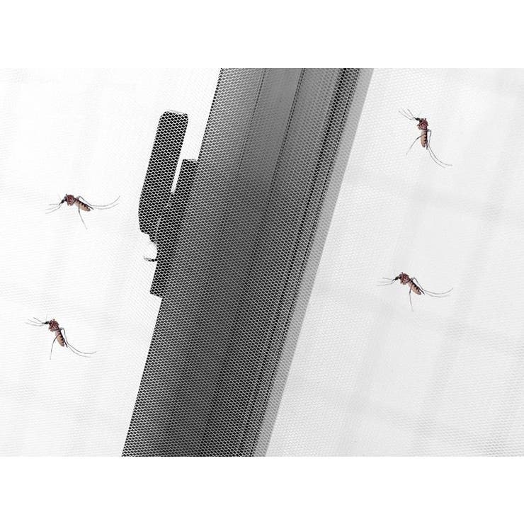 網戸ネット 粘着式 面ファスナー | PlusNao | 詳細画像4 