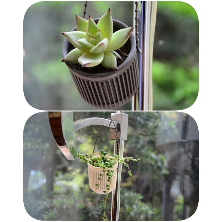 ハンギングプランター 植木鉢 吊るす | PlusNao | 詳細画像10 