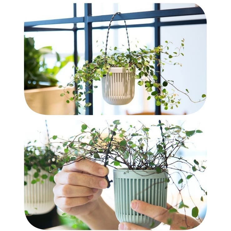 ハンギングプランター 植木鉢 吊るす | PlusNao | 詳細画像11 