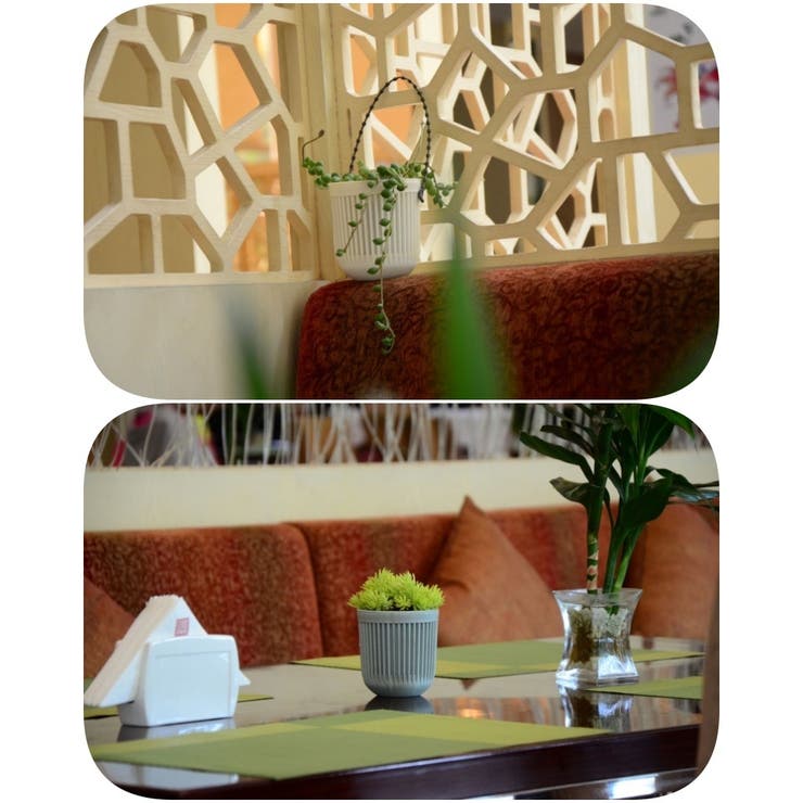 ハンギングプランター 植木鉢 吊るす | PlusNao | 詳細画像13 