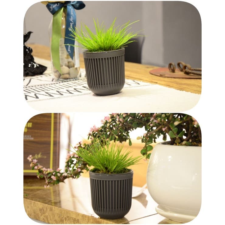 ハンギングプランター 植木鉢 吊るす | PlusNao | 詳細画像16 