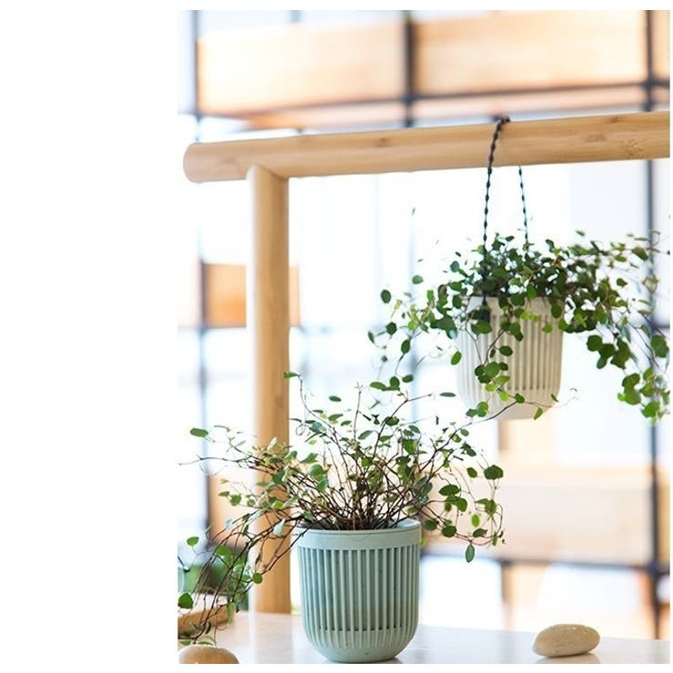 ハンギングプランター 植木鉢 吊るす | PlusNao | 詳細画像3 