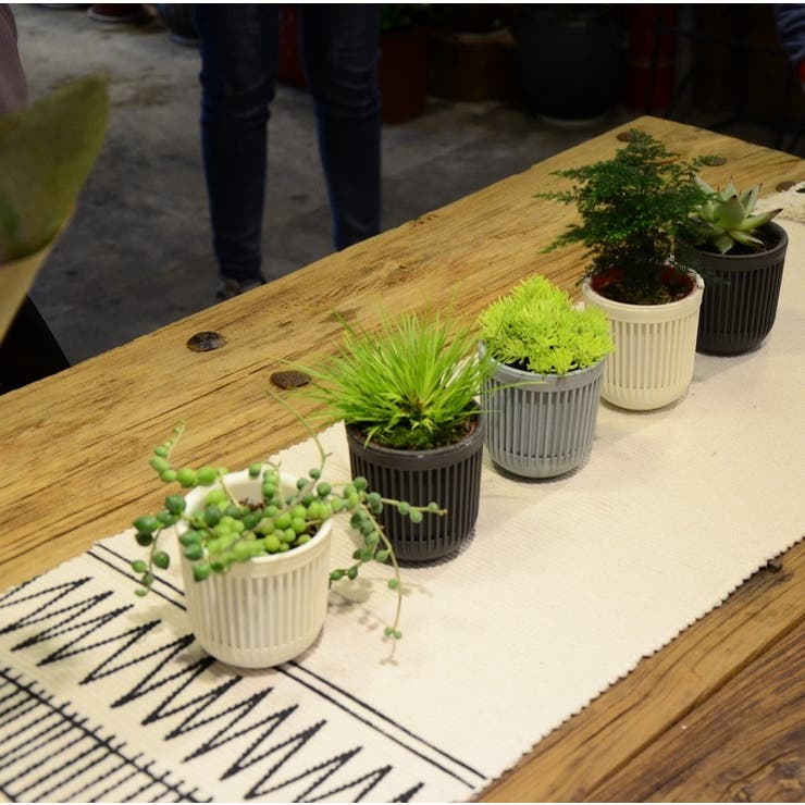 ハンギングプランター 植木鉢 吊るす | PlusNao | 詳細画像4 