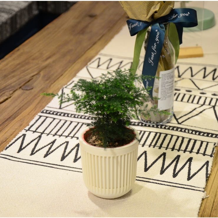 ハンギングプランター 植木鉢 吊るす | PlusNao | 詳細画像5 