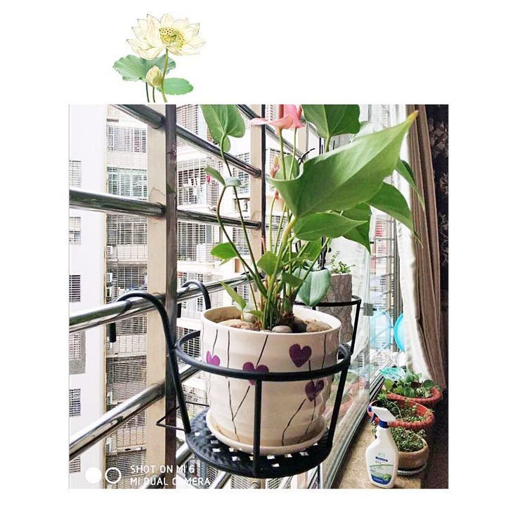 プラントホルダー 植木鉢 鉢植え | PlusNao | 詳細画像7 