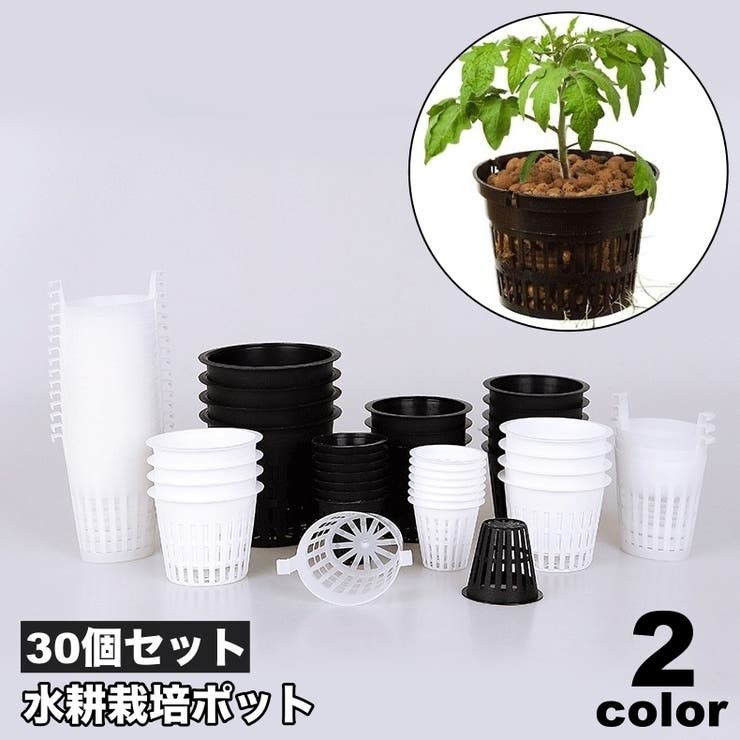 水耕栽培ポット 育苗ポット 30個セット[品番：FQ000229874]｜PlusNao