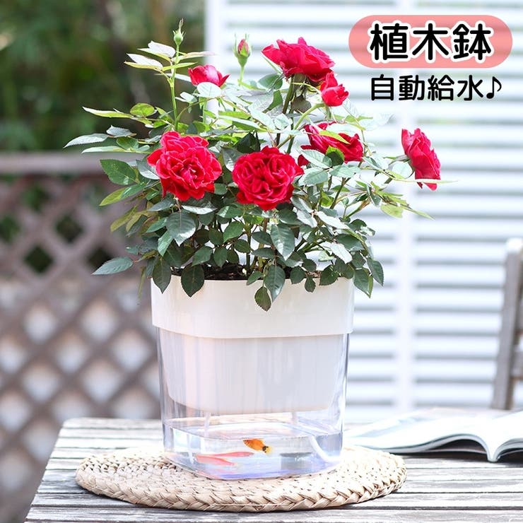 植木鉢 自動給水 フラワーポット | PlusNao | 詳細画像1 