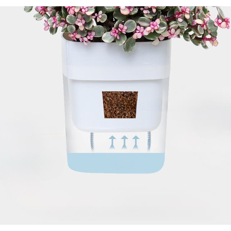 植木鉢 自動給水 フラワーポット | PlusNao | 詳細画像6 