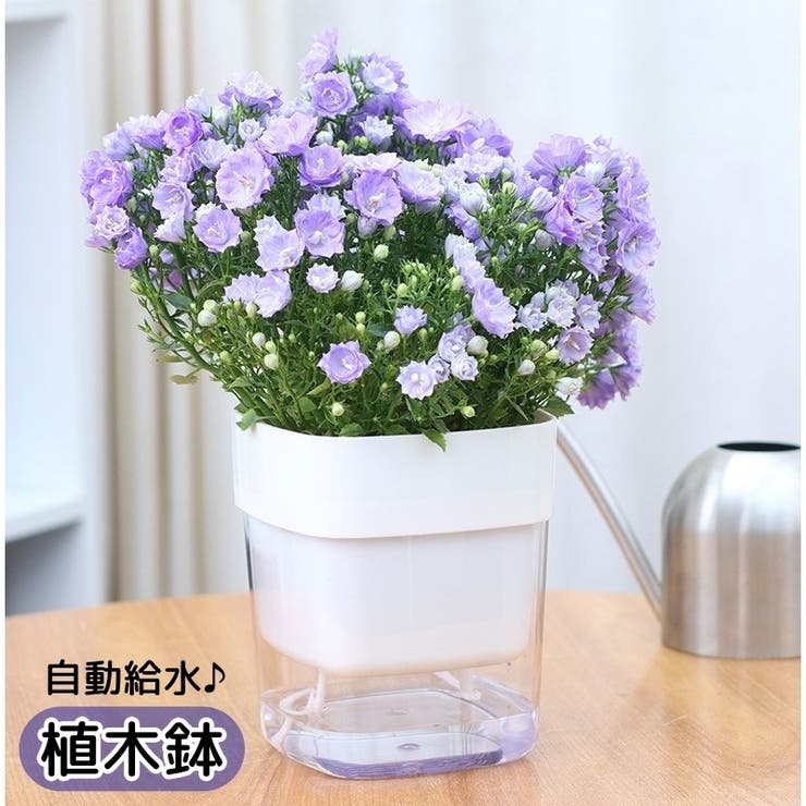 植木鉢 自動給水 フラワーポット | PlusNao | 詳細画像1 