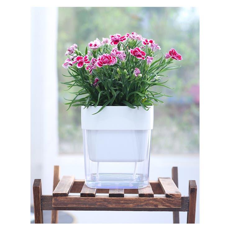 植木鉢 自動給水 フラワーポット | PlusNao | 詳細画像5 