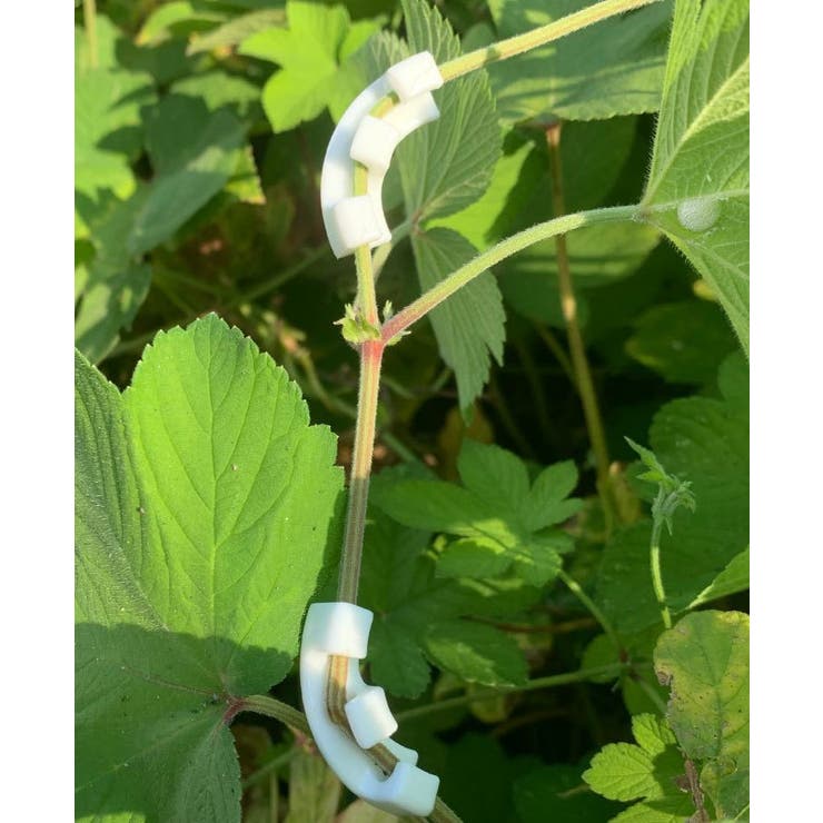 プラントベンダー 同色10個セット プラントトレーニングクリップ | PlusNao | 詳細画像4 