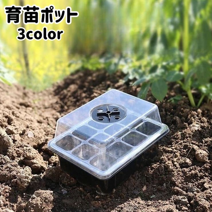 育苗ポット 12穴 蓋付き[品番：FQ000223057]｜PlusNao