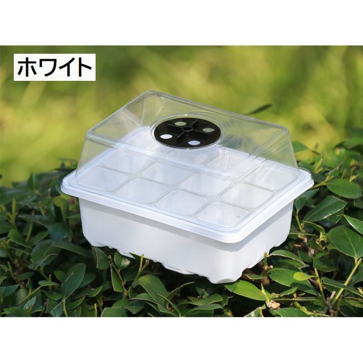 育苗ポット 12穴 蓋付き[品番：FQ000223057]｜PlusNao（プラスナオ