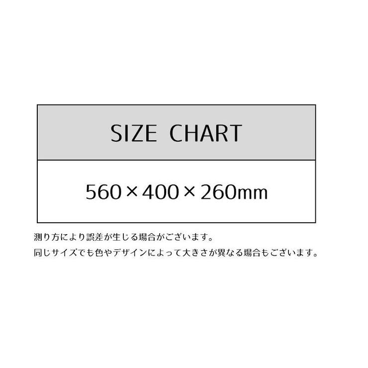 収納ボックス 車載 収納ケース | PlusNao | 詳細画像11 