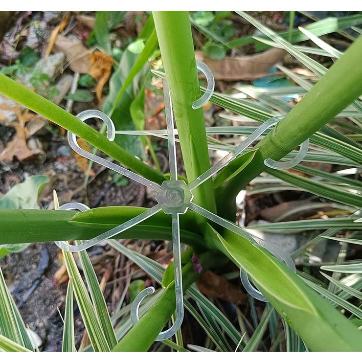 園芸用支柱サポートプレート 4個セット 4サイズ | PlusNao | 詳細画像2