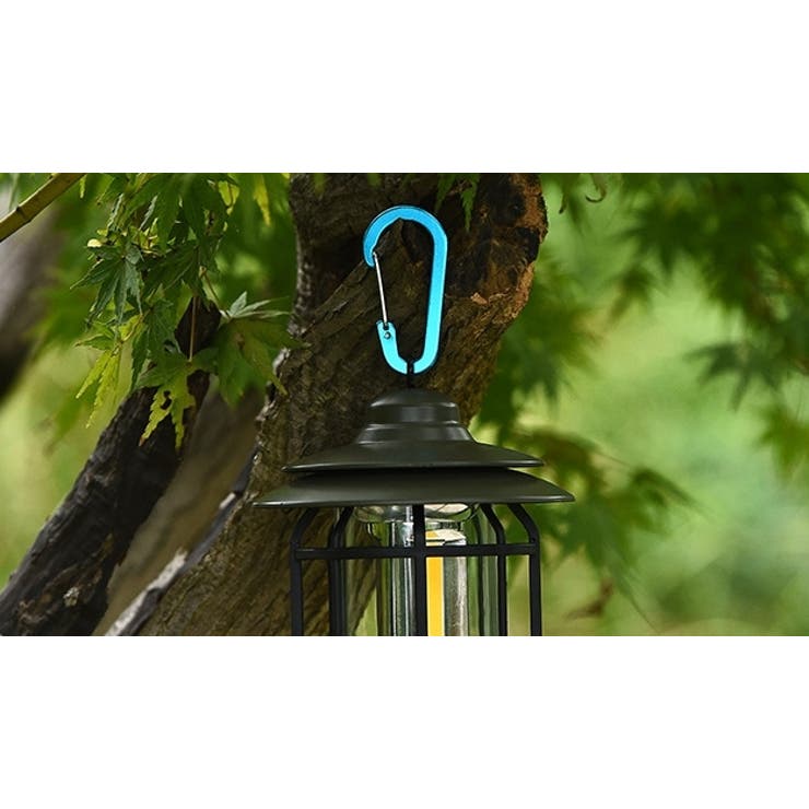 カラビナ 10個セット カラビナフック | PlusNao | 詳細画像5 