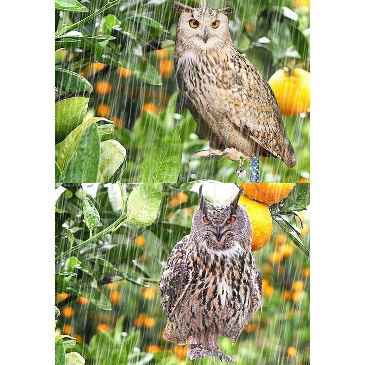 鳥よけボード 鳥よけ 防鳥 | PlusNao | 詳細画像10 