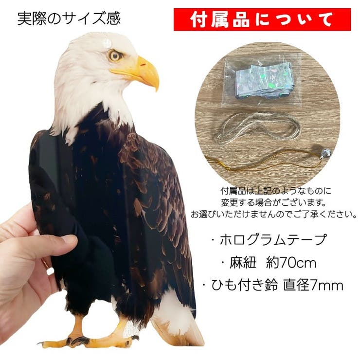 鳥よけボード 鳥よけ 防鳥 | PlusNao | 詳細画像15 