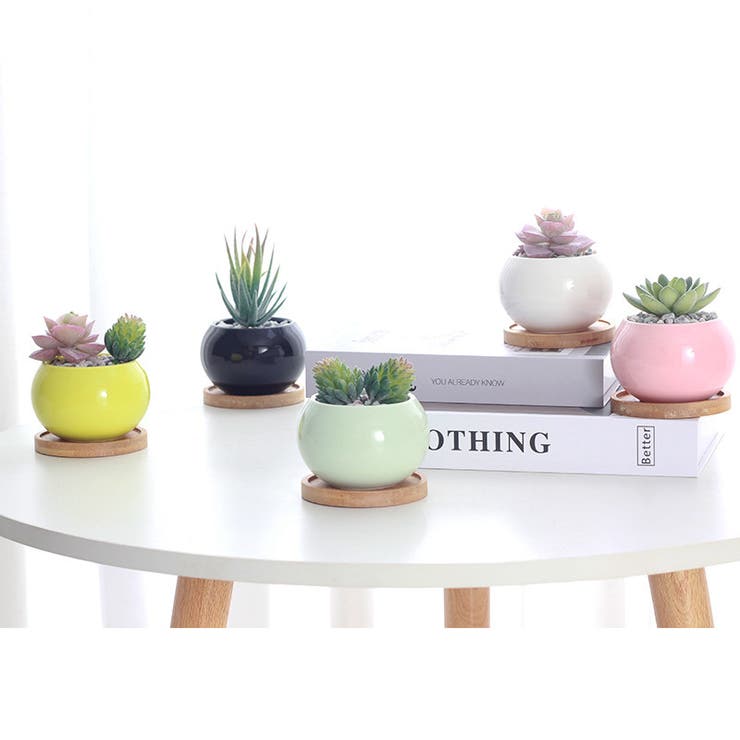 Amazon.co.jp: サボテン鉢 4個 6個 植木鉢セット おしゃれ