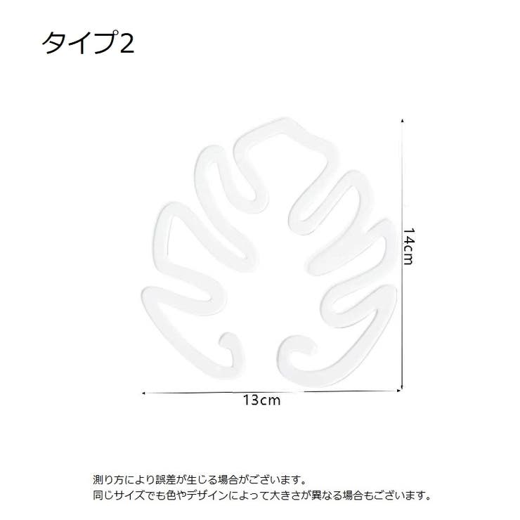 園芸支柱 2個セット 花茎 | PlusNao | 詳細画像11 