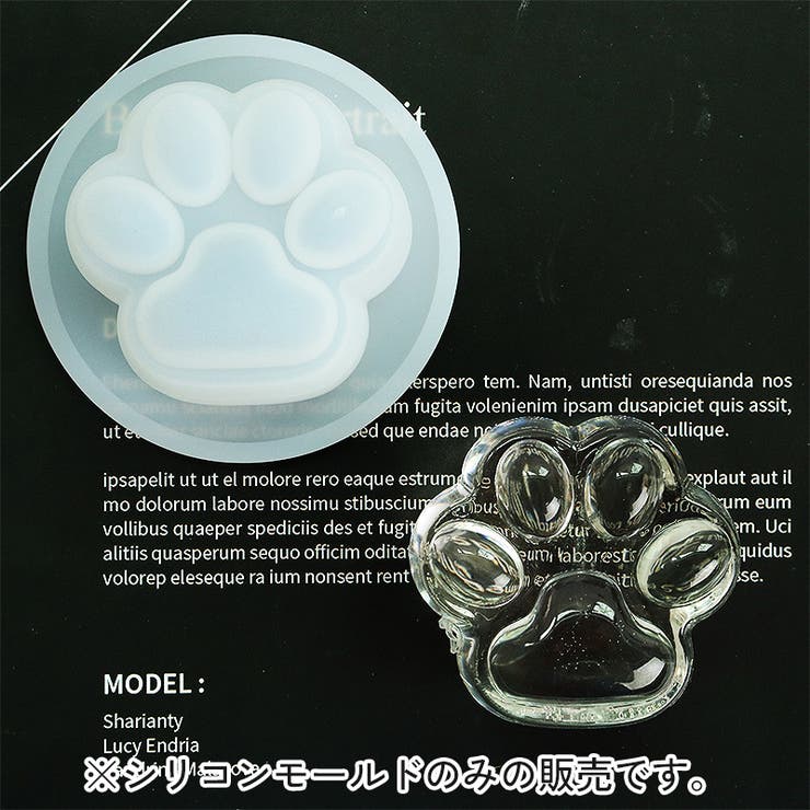 シリコンモールド 単品 レジン型 | PlusNao | 詳細画像5 