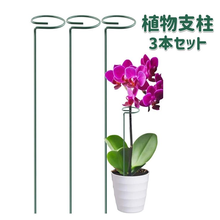植物支柱 3本セット 園芸用支柱[品番：FQ000223528]｜PlusNao