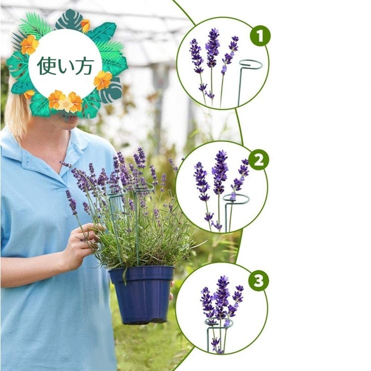 植物支柱 3本セット 園芸用支柱 | PlusNao | 詳細画像7 