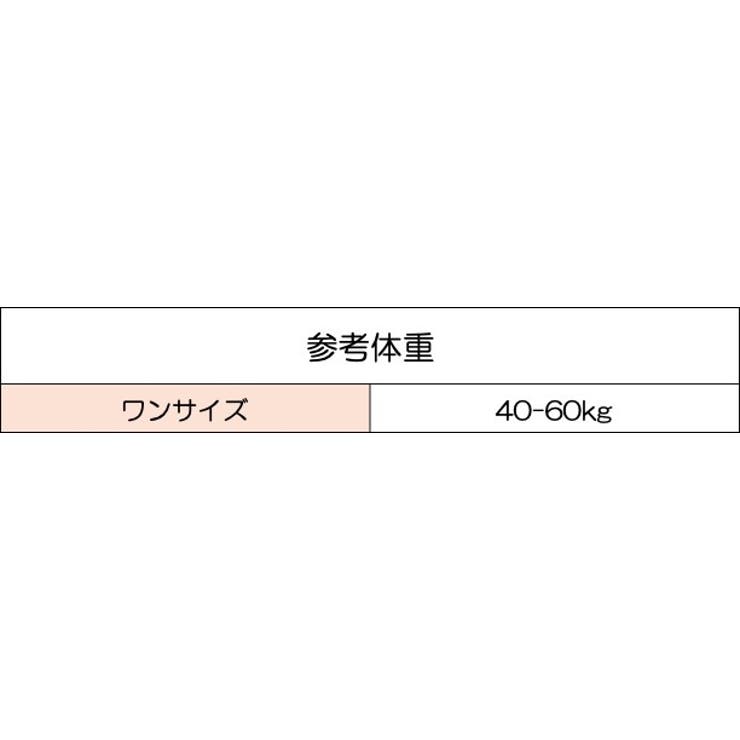 セクシーランジェリー Tバックショーツ 2点セット | PlusNao | 詳細画像8 