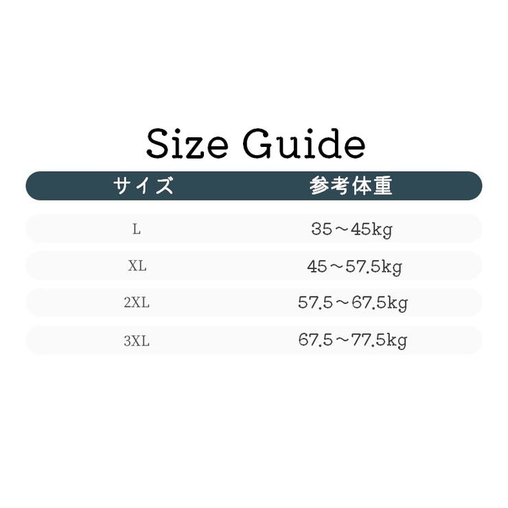 ノンワイヤーブラ フルカップブラ レディース | PlusNao | 詳細画像20 
