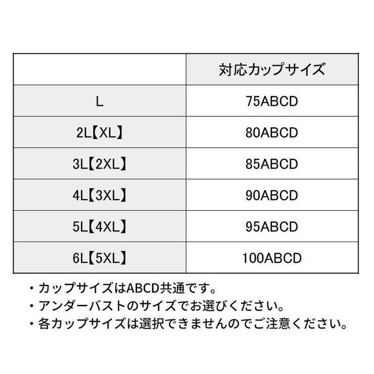 ブラジャー レディース 大きいサイズ | PlusNao | 詳細画像20 