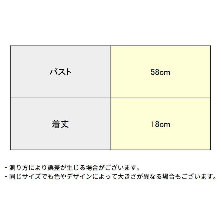 ストラップレスブラ レディース ノンワイヤー | PlusNao | 詳細画像20 