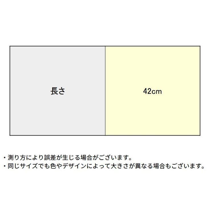ブラストラップ 2本1組 レディース | PlusNao | 詳細画像13 