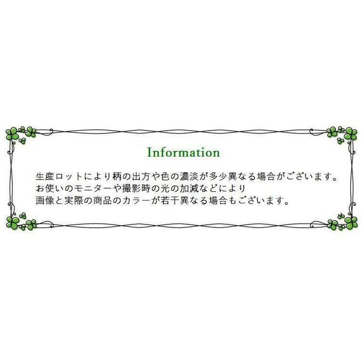 ジュニアブラ ハーフトップブラ カップ付き | PlusNao | 詳細画像16 