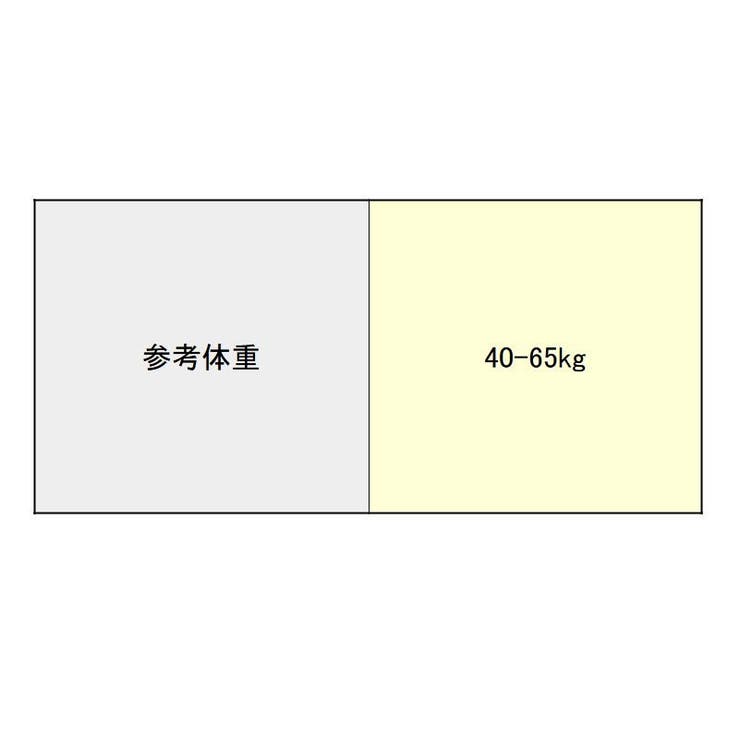 ブラジャー レディース下着 花柄レース | PlusNao | 詳細画像20 