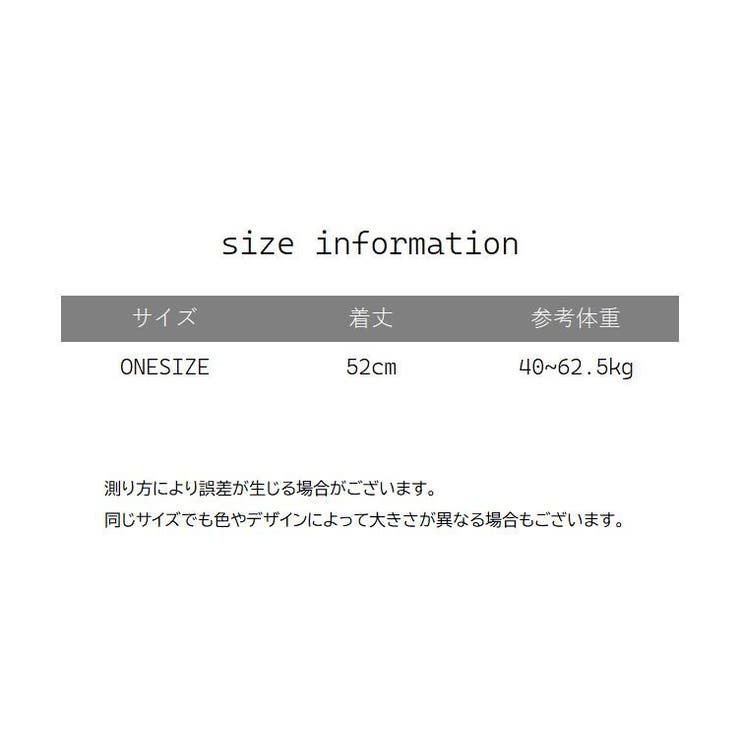 セクシーランジェリー ショーツ 2点セット | PlusNao | 詳細画像12 