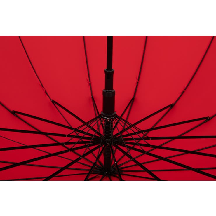 雨傘 長傘 レディース | PlusNao | 詳細画像8 