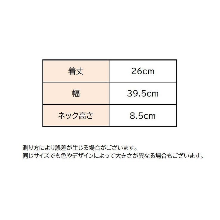 つけ襟 付け襟 レディース | PlusNao | 詳細画像12 