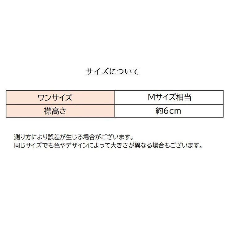 付け襟 フェイクカラー レディース | PlusNao | 詳細画像14 
