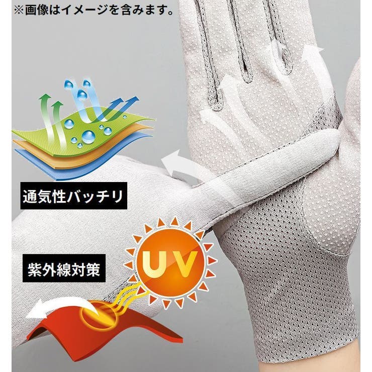 手袋 グローブ レディース | PlusNao | 詳細画像2 