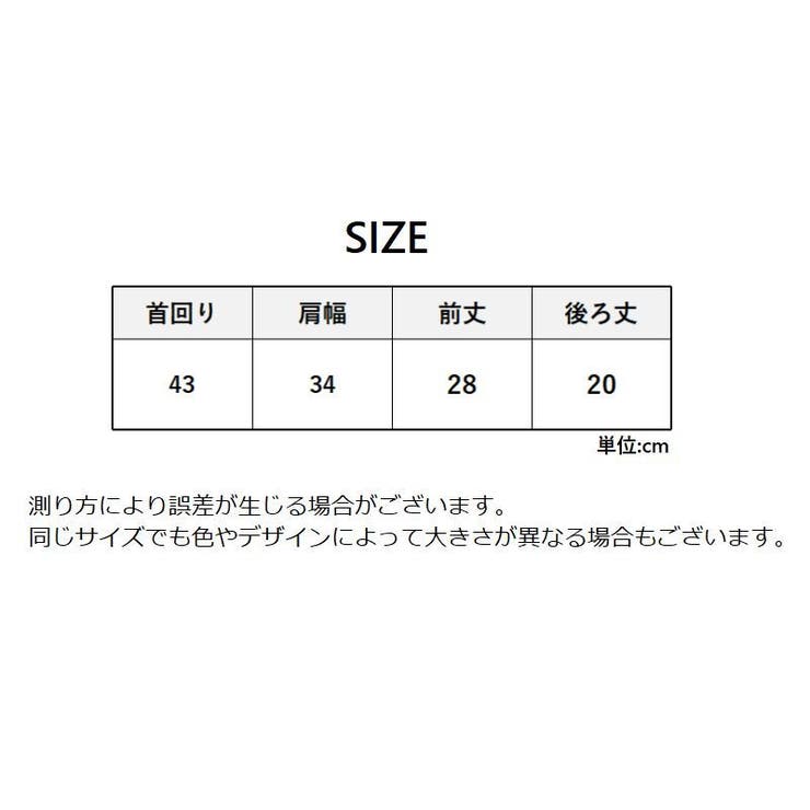つけ襟 付け襟 レディース | PlusNao | 詳細画像20 