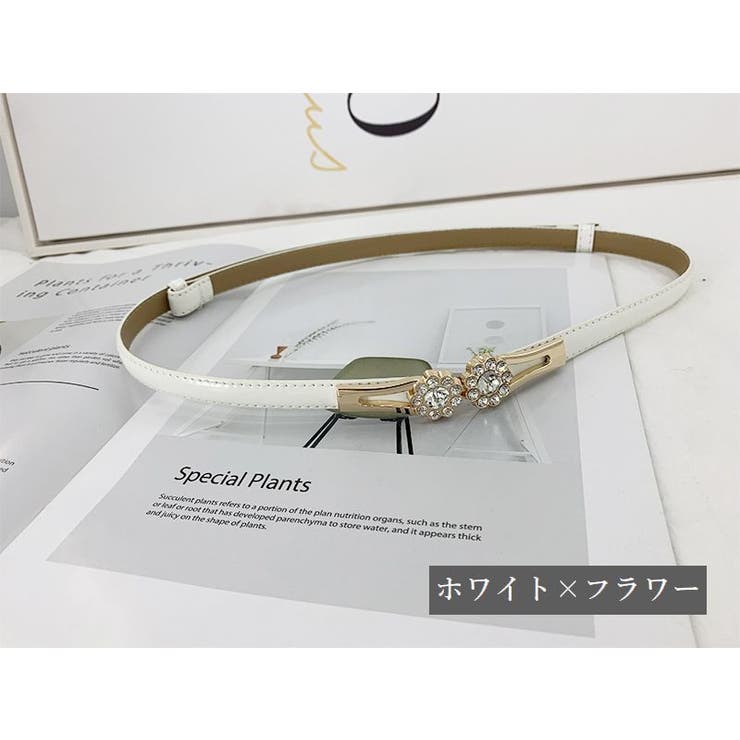 ベルト レディース ウエストマーク | PlusNao | 詳細画像13 
